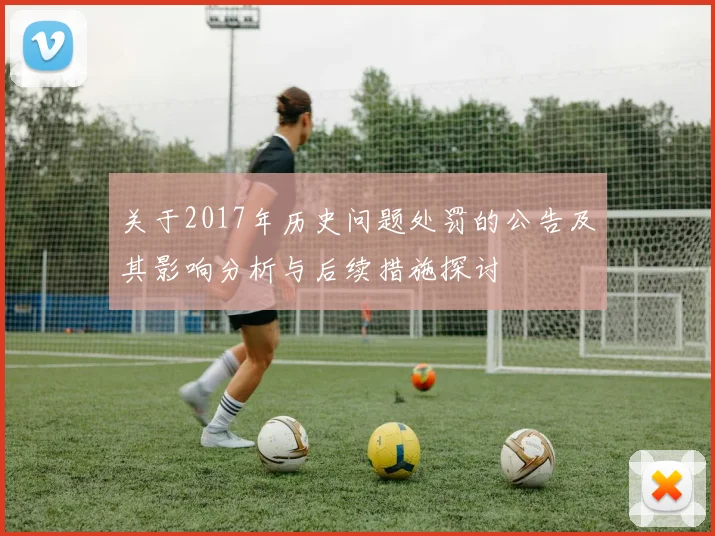 关于2017年历史问题处罚的公告及其影响分析与后续措施探讨